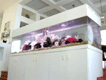 large acrylic aquariums