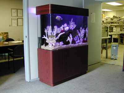 100 Gallon Uni-Quarium Marine Fish Tank, Aquarium Design, Marine ...