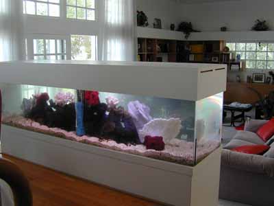 Aquarium Design, Marine Aquariums and Coral Reef Aquarium Tank ...