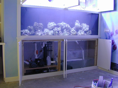 Aquarium Design, Marine Aquariums and Coral Reef Aquarium Tank, Stand ...