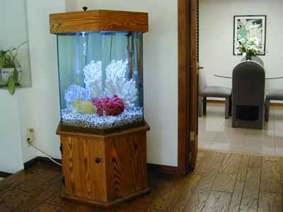 Fish Tank Sizes on 75 Gallon Hexagon Marine Fish Tank  Aquarium Design  Marine Aquariums