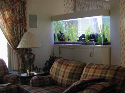 aquarium tank aquarium tank