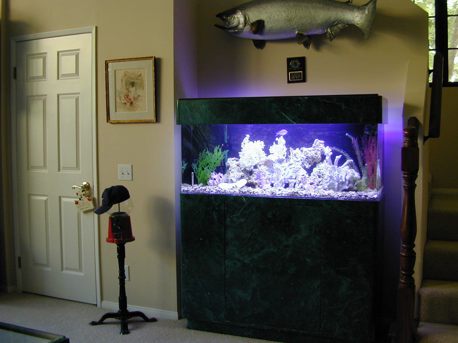 60 Gallon Marine Fish Tank, Aquarium Design, Marine Aquariums and ...