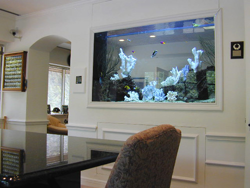 Fish Tank Wall. Placement - Built into wall