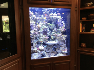 500 gal Coral Reef Tank
