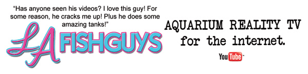 LA Fishguys