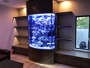 60" Tall Custom Live Rock Sculpture Tank