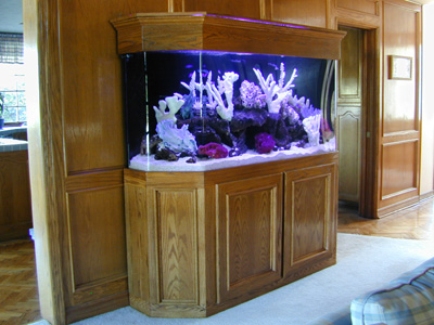 160 gallon fish tank top